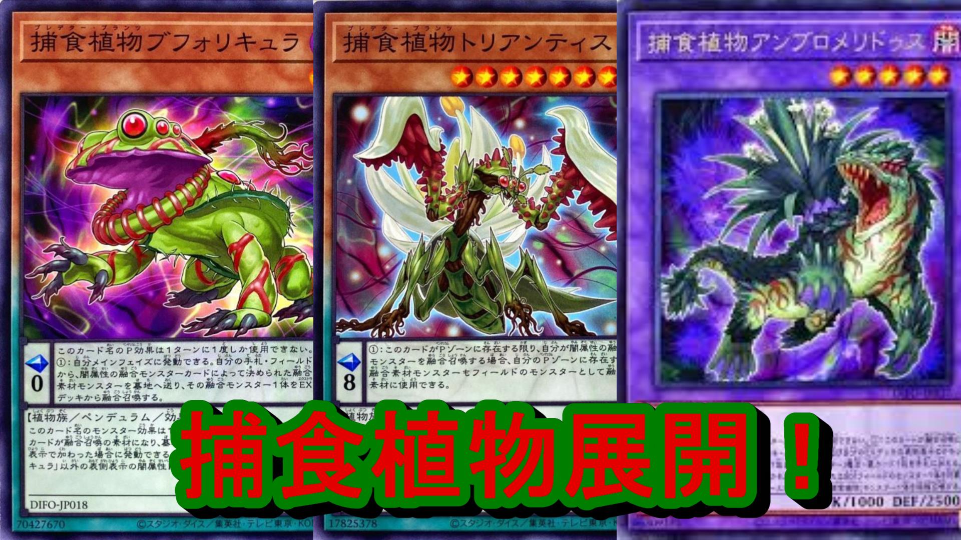 遊戯王 捕食活動等 捕食植物デッキパーツ Www Arnadoor Ir